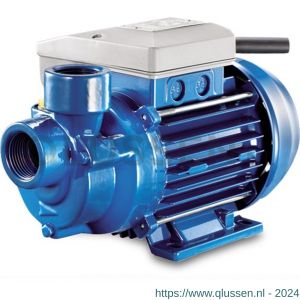 Foras centrifugaalpomp gietijzer 1 inch binnendraad 8 bar 5,2 A 230 V AC blauw type PE100 m 0920247