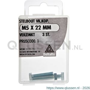 Deltafix stelbout met vierkante kop verzinkt M5x22 mm blister 3 stuks 11112