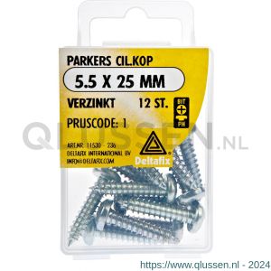 Deltafix parker cilinderkop Phillips PH verzinkt 5.5x25 mm DIN 7981C blister 12 stuks 11530