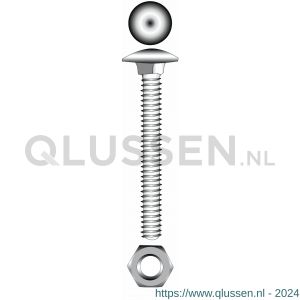 Marinetech slotbout met moer RVS A4 M6x60 mm DIN 603/555 blister 2 stuks 14699