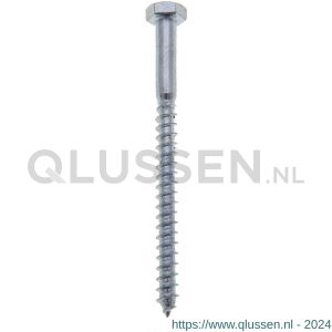 Deltafix houtdraadbout verzinkt 5x50 mm DIN 571 doos 200 stuks 71649