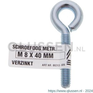 Deltafix schroefoog metrisch verzinkt M10x80 mm 80216