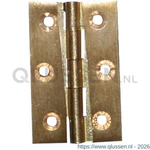 QlinQ scharnier messing pen vast 60x40 mm messing recht set 2 stuks 1032819