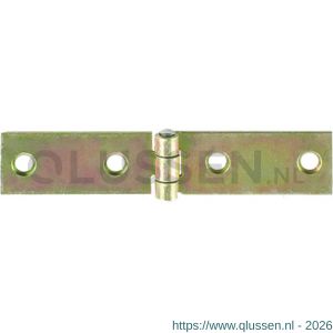 QlinQ lintscharnier stalen pen vast 100x20 mm verzinkt set 2 stuks 1032914