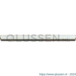 QlinQ deurkrukstift 8x100 mm verzinkt 1033855