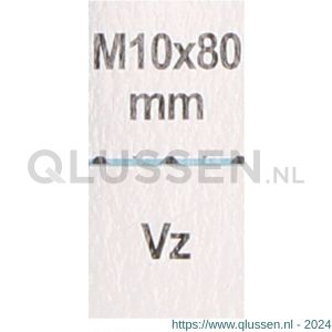 QlinQ putring metrisch met ring verzinkt 1095874