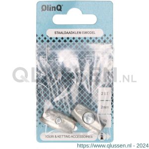 QlinQ staaldaadklem eimodel 2 mm verzinkt set 2 stuks 1095884