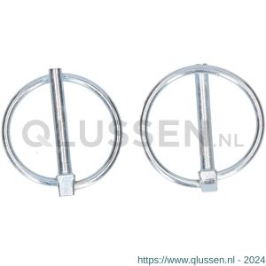 QlinQ borgpen met ring 4.5 mm verzinkt set 2 stuks 1096084