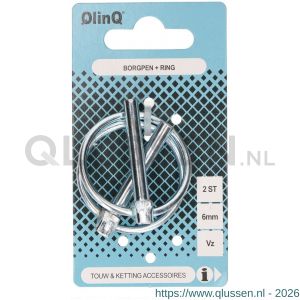 QlinQ borgpen met ring 6 mm verzinkt set 2 stuks 1096085