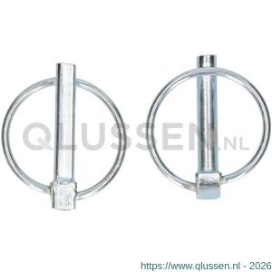 QlinQ borgpen met ring 6 mm verzinkt set 2 stuks 1096085