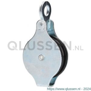 QlinQ hijskatrol enkel 1 oog verzinkt 50 mm 1096091