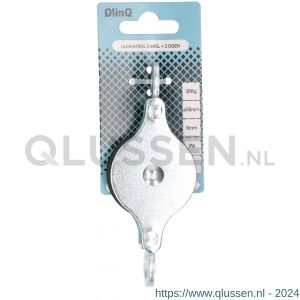 QlinQ hijskatrol enkel 2 ogen verzinkt 50 mm 1096092