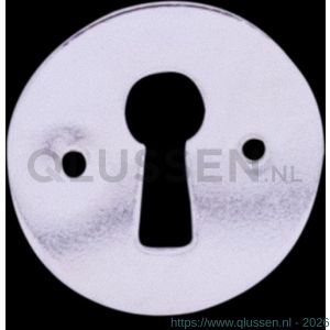 QlinQ sleutelplaat rond 28 mm vernikkeld 1106142