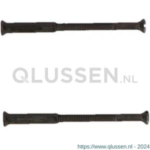 QlinQ patentbout M4x38 mm zwart set 2 stuks 1106166