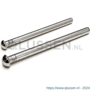 QlinQ scharnierpen verzinkt voor scharnier 76x76 mm set 2 stuks 1032997