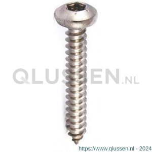 ASF plaatschroef DIN 7981C-T 6.3x19 mm Torx T 30 verzinkt 65263218