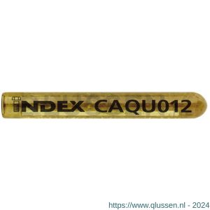 Index CA-QU chemisch anker 12x110 mm diameter 14 mm ETA optie 8 IXCAQU012
