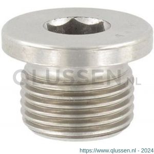 ASF sluitschroef met flens DIN 908 10x1.0 mm binnenzeskant RVS A2 83003054