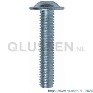 ASF laagbolkopschroef ISO7380-2 M4x10 mm RVS A2 82804133