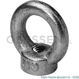 Steelies Ultimate oogmoer DIN 582 M24 RVS A2 9S602400001