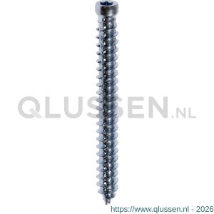 Steelies Ultimate beton-kozijnschroef 7,5x112 mm cilinderkop CK Torx T 25 verzinkt M1010751121