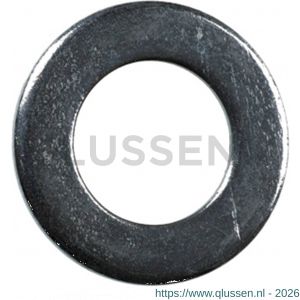Steelies Ultimate sluitring DIN 125A M5 verzinkt A0110500001