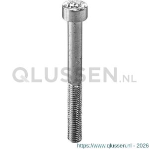 Steelies binnenzeskantbout DIN 912 M33x160 mm 8.8 verzinkt 74313301601