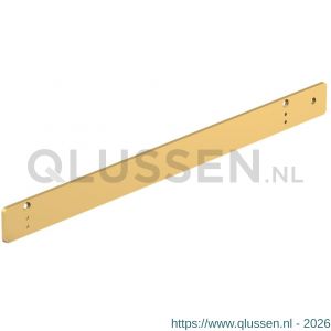 Dormakaba G-EMF XEA montageplaat 140 graden goud (P750) 57420005