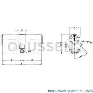 Evva ovaalcilinder dubbel EPS 31/31=62 mm stiftsleutel conventioneel verschillend sluitend messing vernikkeld UDZ-EPS-NI