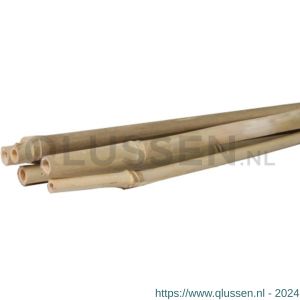 Talen Tools bamboestok 120 cm diameter 10-12 mm 5 stuks BF42