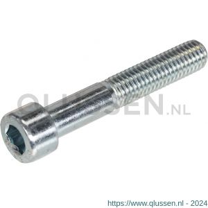 Hoenderdaal binnenzeskantbout staal verzinkt VZ 8.8 cilinderkop CK IB 5 DIN 912 M6x45 mm 200 stuks 2160.11.49801