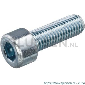 Hoenderdaal binnenzeskantbout staal verzinkt VZ 8.8 cilinderkop CK IB 3 DIN 912 M4x16 mm 200 stuks 2160.11.24701