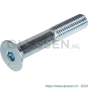 Hoenderdaal binnenzeskantbout staal verzinkt VZ 8.8 platkop PK IB 8 DIN 7991 M12x70 mm 50 stuks 2170.11.74201