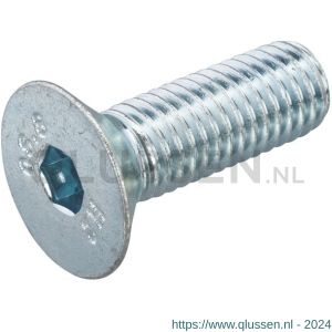 Hoenderdaal binnenzeskantbout staal verzinkt VZ 8.8 platkop PK IB 10 DIN 7991 M16x40 mm 50 stuks 2170.11.81601