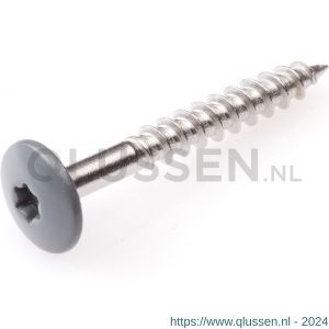 Hoenderdaal HPL schroef RVS A2 Torx TX 20 bazaltgrijs RAL 7012 4.8x32 mm 100 stuks 0346.30.37326