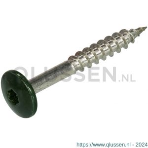 Homefix kleurkopschroef RVS A2 Torx TX 20 groen RAL 6009 4.8x38 mm blister 8 stuks 6701.60.37060