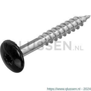 Hoenderdaal HPL schroef RVS A2 Torx TX 20 gitzwart RAL 9005 4.8x32 mm 100 stuks 0346.30.37323