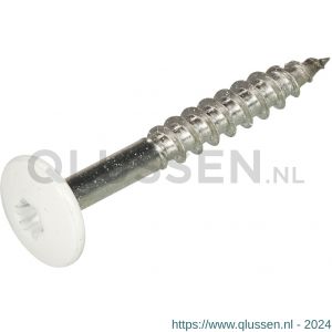 Homefix kleurkopschroef RVS A2 Torx TX 20 wit RAL 9010 4.8x38 mm blister 8 stuks 6701.60.37080