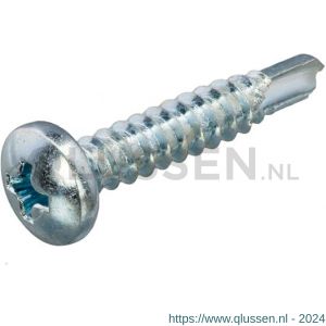 Hoenderdaal plaatschroef zelfborend staal verzinkt VZ cilinderkop CK Phillips PH 2 DIN 7504N 3.9x13 mm 200 stuks 0336.01.20520