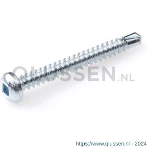 Hoenderdaal plaatschroef zelfborend staal verzinkt VZ cilinderkop CK SQD 2 DIN 7504N 4.2x25 mm 200 stuks 0339.01.29120