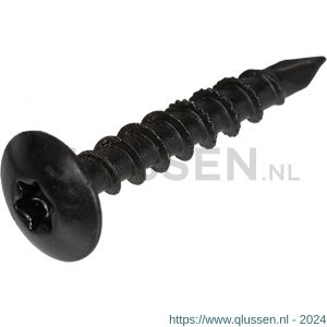 Blackline tuinbeslagschroef AR-coating ovaalkop OVK zwarte kop Torx TX 30 6.0x40 mm kuip 30 stuks 6904.30.86040
