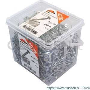 Homefix actie-emmer spaanplaatschroef staal verzinkt VZ platkop PK met snijpunt Torx TX 20 4.0x60 mm emmer 550 stuks 8920.01.10400