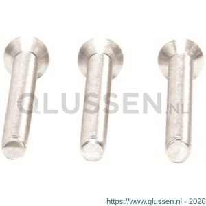 AXA set bouten M6x70 set 3 stuks veiligheidsbeslag 6990-58-81