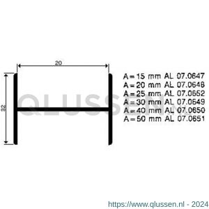 AluArt H-profiel 20 mm L 1000 mm set 6 stuks 8713329938092 aluminium brute AL221648