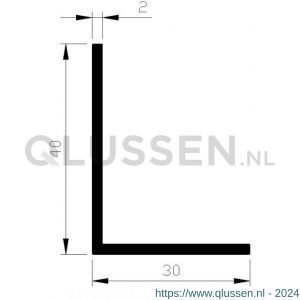 AluArt hoekprofiel 40x30x2 mm L 6000 mm aluminium onbewerkt AL096170