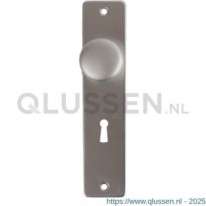 Ami knop BB F1 knopschild schild type 180/41 RH met knop 160/40 voor bonte baard SL 56 F1 finish 0170.200.0102