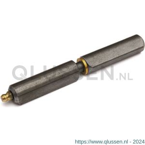 IBFM Dulimex DX HPL WR SM 080 aanlaspaumelle smeernippel stalen pen en messing ring 80x12 mm blank staal 6010.010.0800