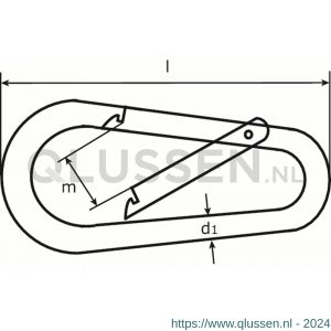 Dulimex DX 246-06E karabijnhaak eivormig B-DIN 5299 60x6 mm verzinkt 9.220246006