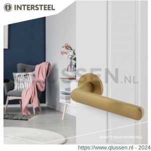Intersteel Living 0464 deurkruk Sora met geveerde kunststof rozet met nokken diameter 50x7 mm messing mat PVD 0014.046402