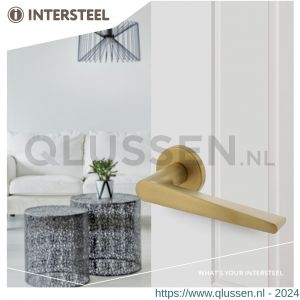 Intersteel Living 0465 deurkruk Tiga met geveerde kunststof rozet met nokken diameter 50x7 mm messing mat PVD 0014.046502